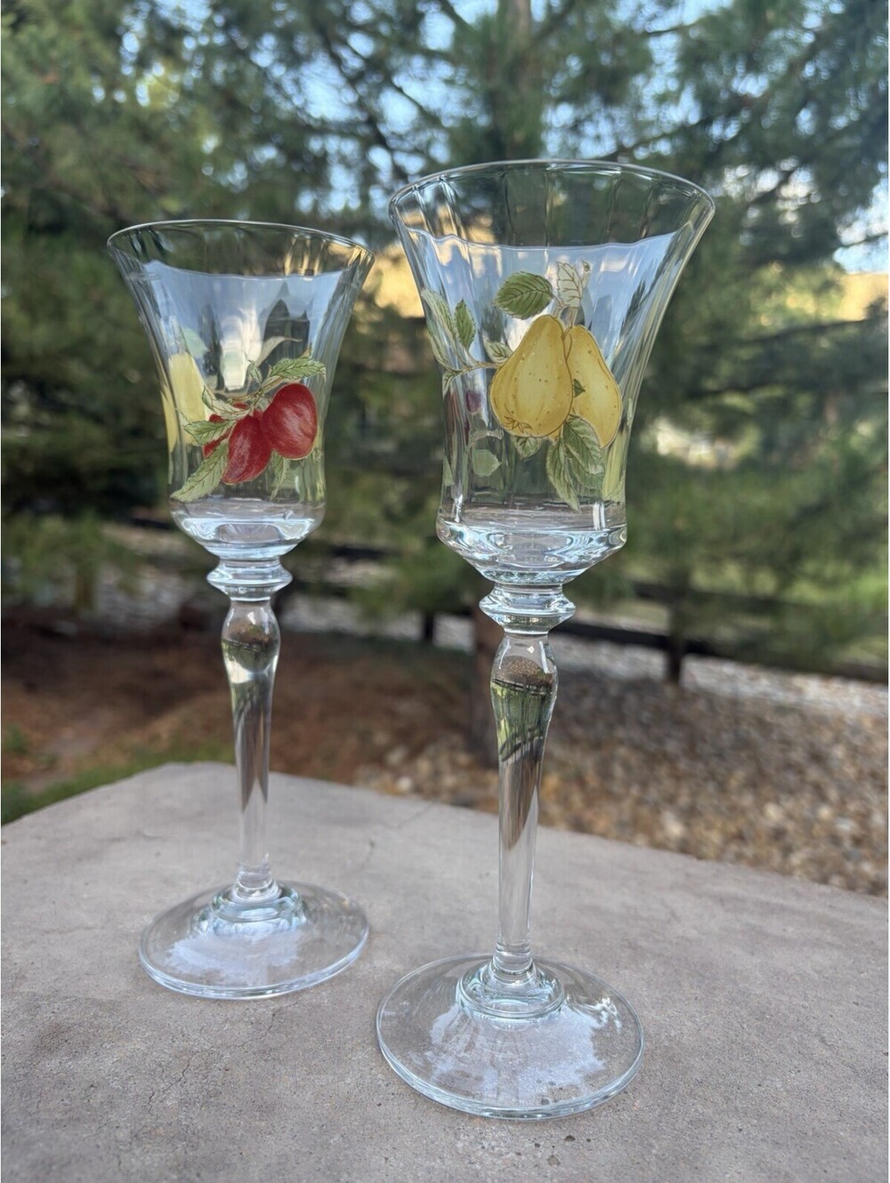 Mikasa BELLE TERRE Set/2 Champagne Flutes Excellent